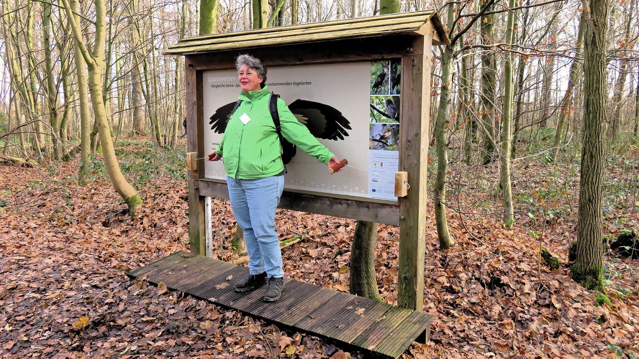 Wandern rund ums Schloss Nordkirchen: Eine Person steht vor einem Infostand mit nachempfundener Flügel-Spannweite diverser Vogelarten