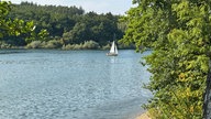 Wandern um den Sorpesee: Gewässer umrandet mit Bäumen und einem kleinen Segelboot darauf