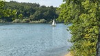 Wandern um den Sorpesee: Gewässer umrandet mit Bäumen und einem kleinen Segelboot darauf
