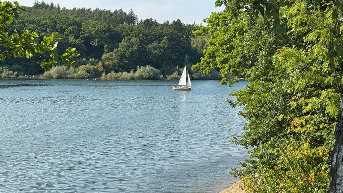 Wandern um den Sorpesee: Gewässer umrandet mit Bäumen und einem kleinen Segelboot darauf