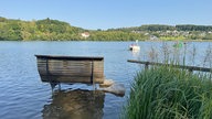 Wandern um den Sorpesee: Holzbank am Strand des Sees im seichten Wasser