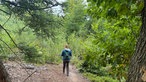 Wandern um den Sorpesee: Wanderin geht einen Waldweg entlang