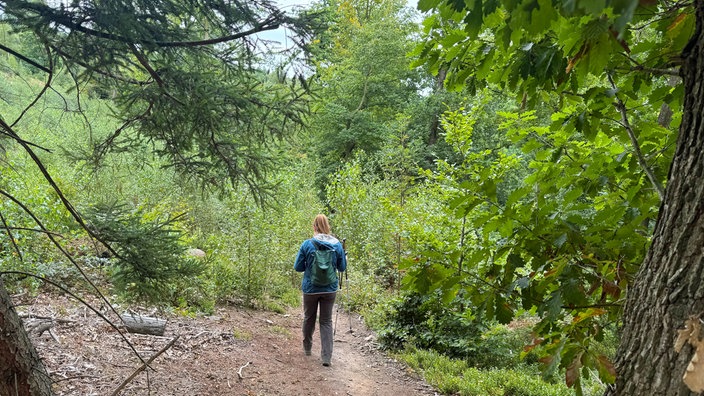 Wandern um den Sorpesee: Wanderin geht einen Waldweg entlang