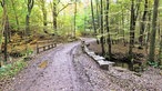 Eine Holzbrücke quert der Weg über den Glör-Bach