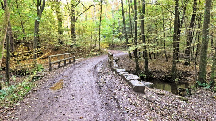 Eine Holzbrücke quert der Weg über den Glör-Bach