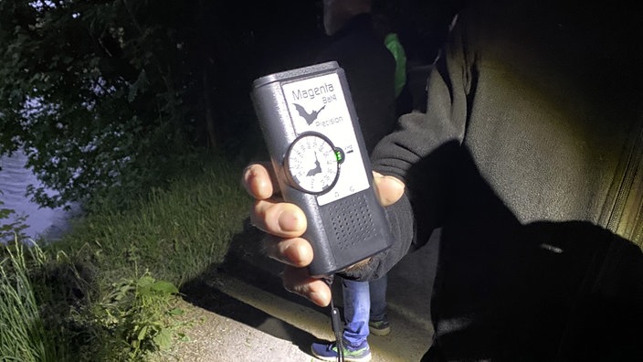 Ultraschall-Detektor wird von einer Taschenlampe angeleuchtet.
