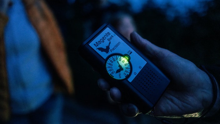 Ultraschalldetektor für Fledermäuse.