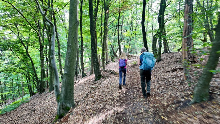 Zwei Wanderer von hinten, die einen Waldwanderweg gehen