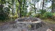 Grundmauern einer ehemahligen Schutzhütte im Wald gelegen