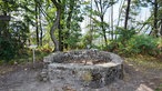 Grundmauern einer ehemahligen Schutzhütte im Wald gelegen