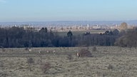 Kleiberg bei Soest: Von dem Beobachtungshügeln aus gibt es einen wunderbaren Ausblick über Wiesen mit Wildpferden