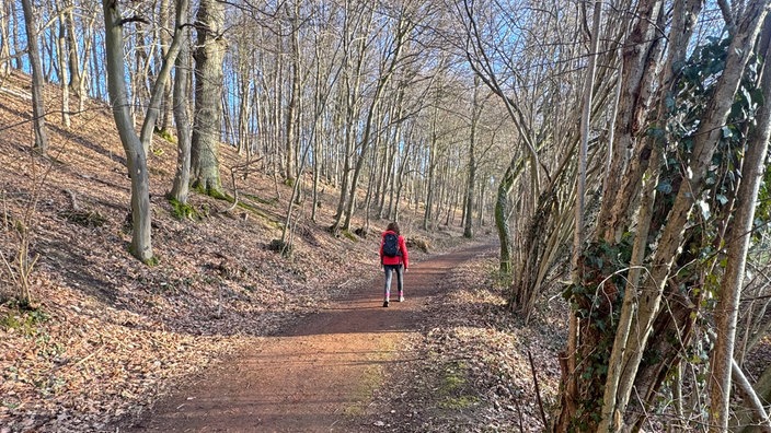 Kleiberg bei Soest: Ein Wanderer mit roter Jacke auf einem der ausgedehnten Wegenetz.