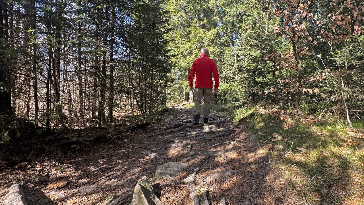Ein Mann in roter Jacke wandert im Wald