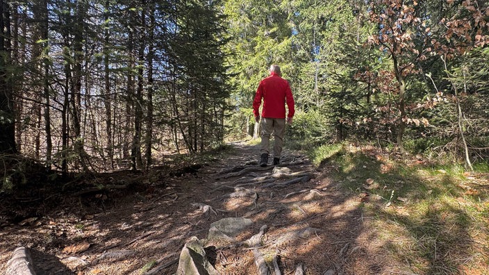 Ein Mann in roter Jacke wandert im Wald