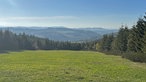 Wiese mit Aussicht auf Wälder