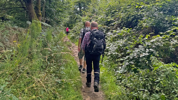 Pfad des Wanderwegs