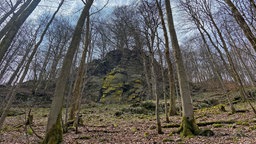 Das Hollenhaus mitten im Wald 