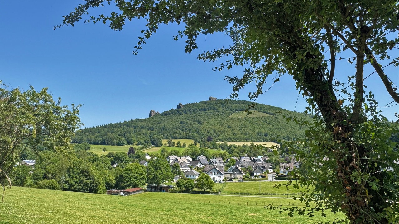 Bruchhausen