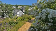 Öffentlicher Garten 