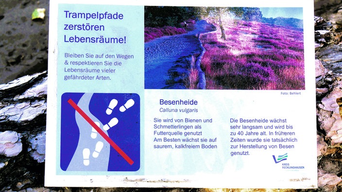 Westruper Heide: Hinweisschild mit Verhaltensregeln beim Spaziergang in der Westruper Heide