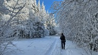 Ein Wanderer in der Winterlandschaft