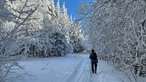 Ein Wanderer in der Winterlandschaft