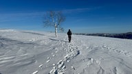 Ein Wanderer in der Winterlandschaft unter blauem Himmel