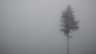 Im nebeligen Winter-Dunst auf dem Wittgensteiner Mythen- und Sagenweg unterwegs