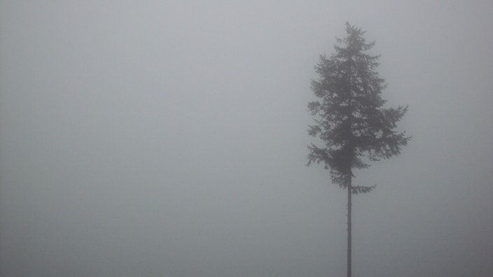Im nebeligen Winter-Dunst auf dem Wittgensteiner Mythen- und Sagenweg unterwegs