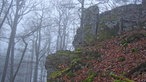 Im nebeligen Winter-Dunst auf dem Wittgensteiner Mythen- und Sagenweg unterwegs