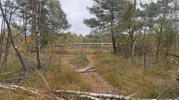 Wanderung durchs Venner Moor bei Senden