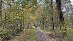 Wanderung durchs Venner Moor bei Senden