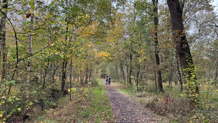 Wanderung durchs Venner Moor bei Senden
