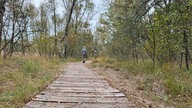 Wanderung durchs Venner Moor bei Senden