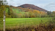 Blick aus Richtung Schmallenberg auf Felder, Wald und den Wilzenberg