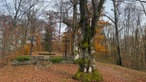In Waldkulisse eine Kreuzwegstation, Freialtar mit Kreuzigungsgruppe und ein Hochkreuz