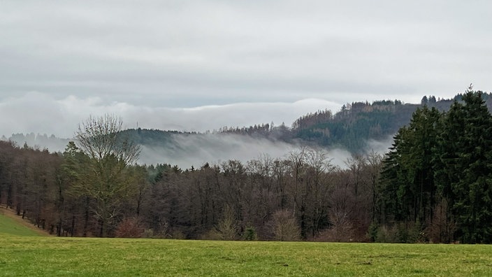 Nebel wabert durch die Täler
