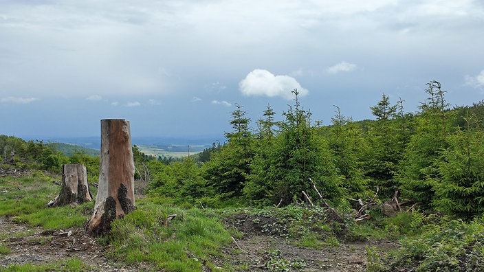 Ziegenhellen-Höhenweg