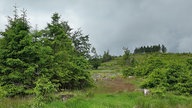 Ziegenhellen-Höhenweg