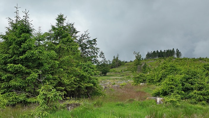 Ziegenhellen-Höhenweg