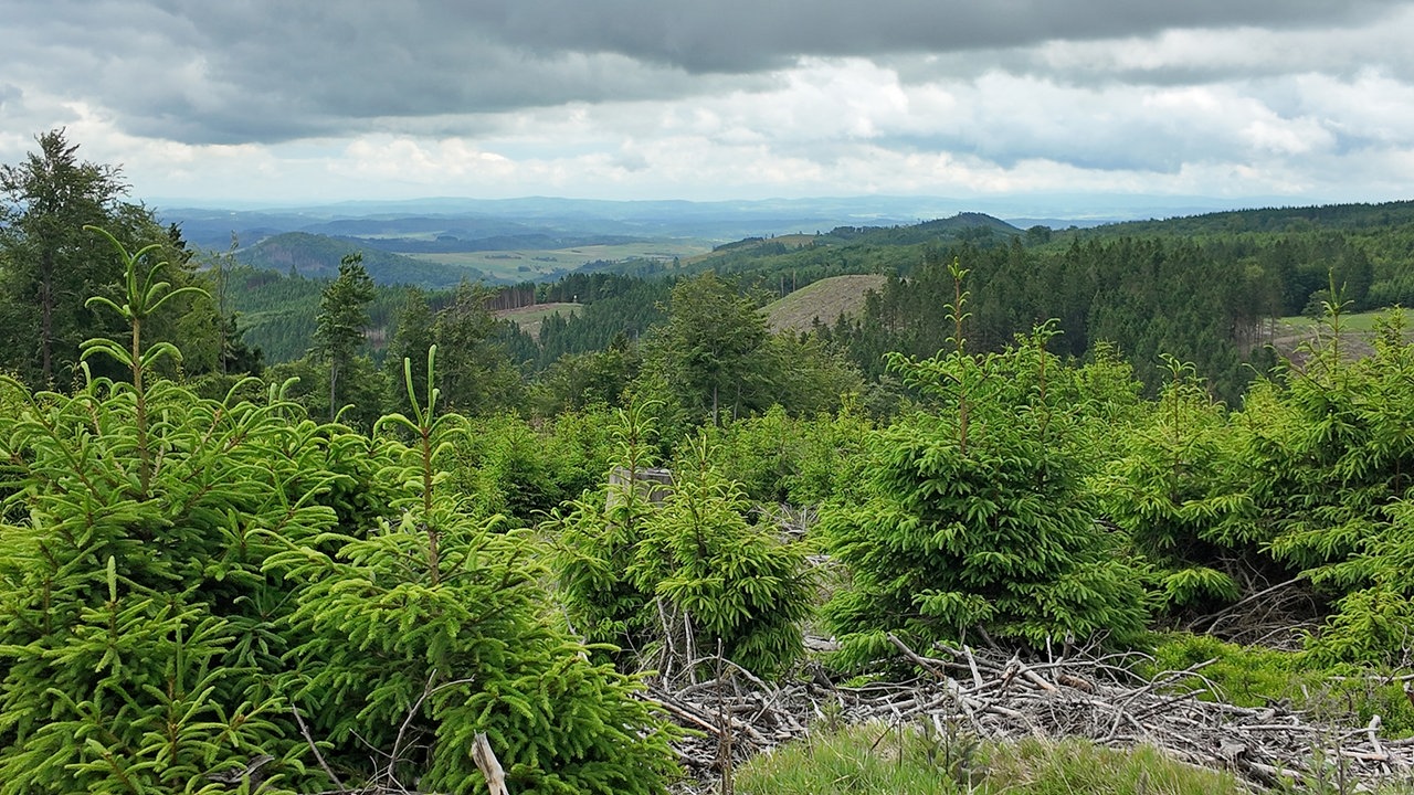 Ziegenhellen-Höhenweg