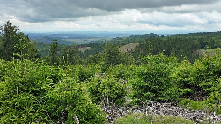 Ziegenhellen-Höhenweg