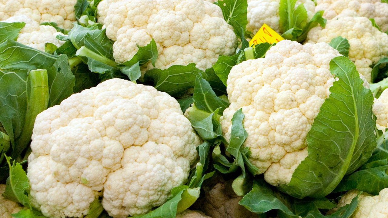 Bildfüllend aneinandergereihte weiße,reife Blumenkohlköpfe.