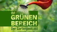Titelbild "IIm Grünen Bereich – Der NDR Gartenpodcast" Eine Gießkanne gießt Wasser über den Titel vor grünem Hintergrund