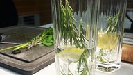 Zwei Gläser mit Rosmarin Gin Tonic