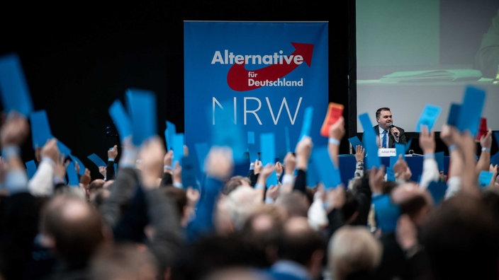 AfD-Parteitag in Marl, 18.01.2020:  Delegierte halten ihre Abstimmungskarten hoch