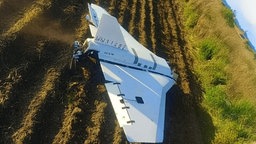 Russische Drohne auf einem Feld in Mniszków, 10.09.2025. 