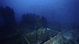 Verlassenes Schiffswrack auf dem Meeresgrund, darüber schwärmen Fische
