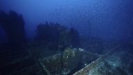 Verlassenes Schiffswrack auf dem Meeresgrund, darüber schwärmen Fische