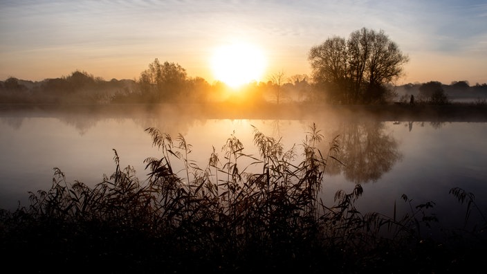 Die Sonne geht am Morgen über einer Wiese auf. Im Vordergrund ist ein Fluss über den leichter Nebel zieht.